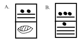 questions A and B